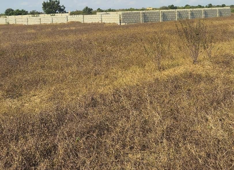 PLOTS OF LANDS AT DAWA